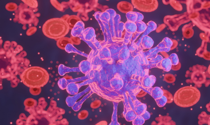 Imunitní sustém nás chrání před neznámými patogeny a vznikem nemoci